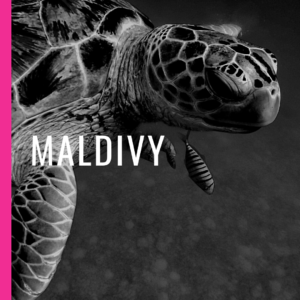MALDIVY